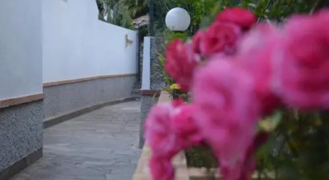 Hotel Guarracino, Book Hotel Capri Capri Island