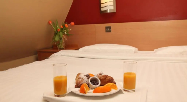 Одноместный номер Standard Harding Hotel