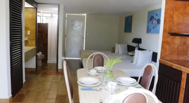 Двухместный номер Standard с видом на бассейн Alba Suites Acapulco