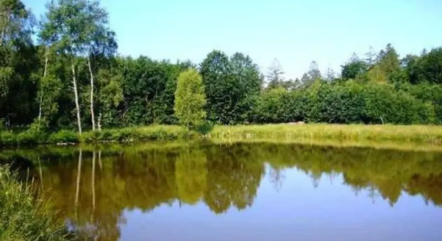Номер Standard Gasthaus-Pension Zum Brandweiher