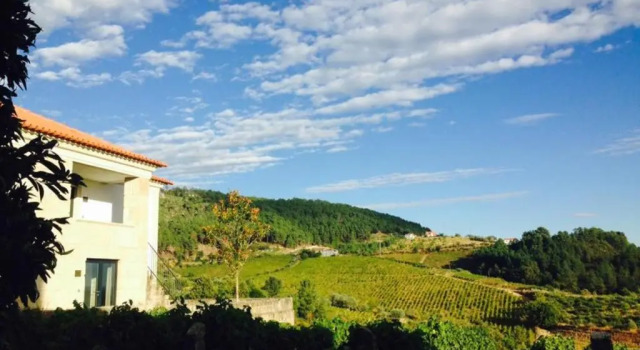 Апартаменты с 4 комнатами Quinta de Fiães - Agroturismo