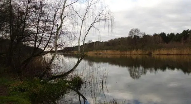 Cozy Holiday Home in Brandenburg near Lake, Prenota Hotel Kummerow Brandeburgo