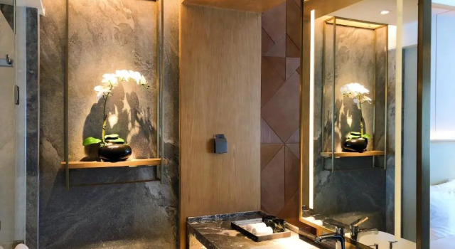 Двухместный номер Standard с видом на парк Royce Hotel Shenzhen