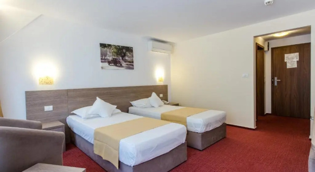 Двухместный номер Business Hotel Herastrau