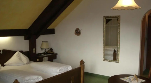 Двухместный номер Standard Hotel Stegmühlhof