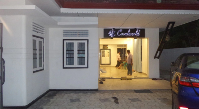Двухместный номер Standard с красивым видом из окна Coralworld Hotel