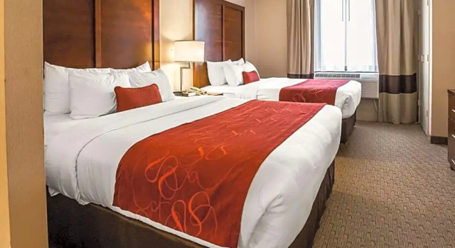 Люкс Standard Spark by Hilton Stafford Sugar Land