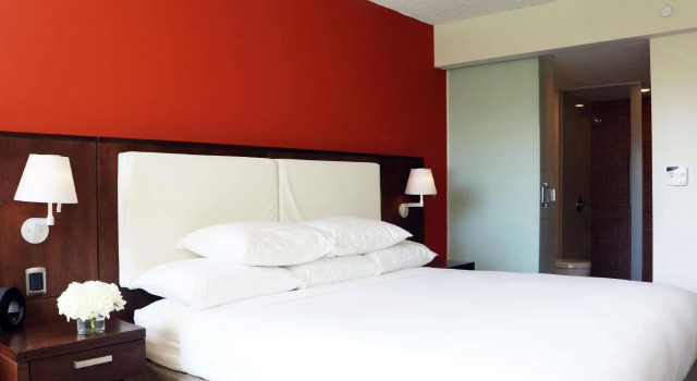 Двухместный номер Standard с видом на сад DoubleTree by Hilton San Juan
