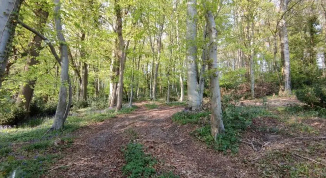 Gites 4,6 personnes Fécamp Etretat, Book Campground Colleville 