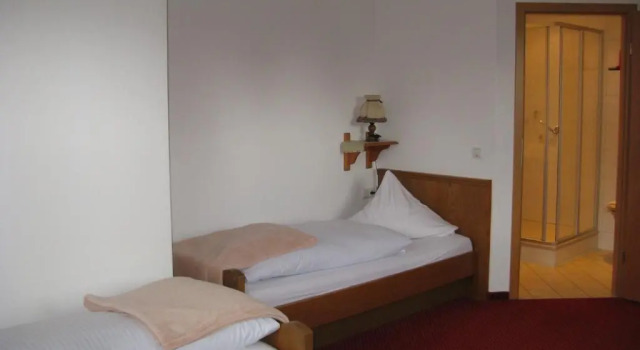 Двухместный номер Standard с видом на горы Alpenhotel Allgäu