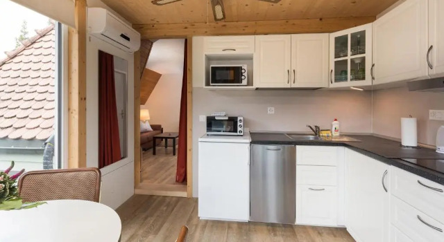 Апартаменты Дуплекс с 2 комнатами Swiss Inn & Apartments