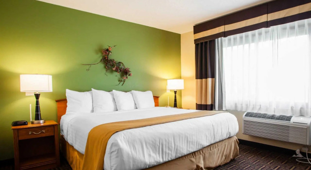 Люкс Quality Inn Bolingbrook I-55
