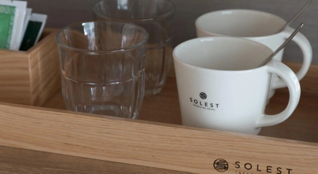 Номер Standard Solest Takachiho Hotel