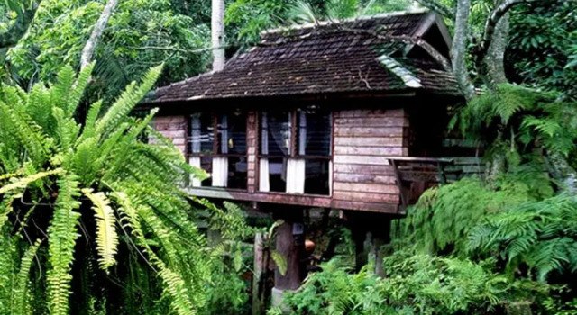 Кровать в общем номере Fern Paradise