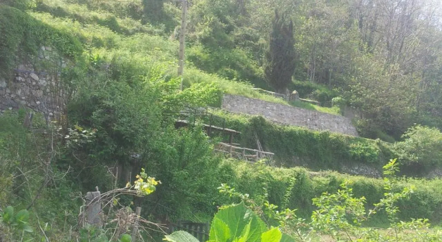 Gîte La Fontaine Corse, Varaa Hotelli  