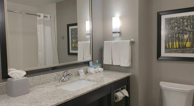 Номер Standard Holiday Inn Express and Suites Madison Central by IHG