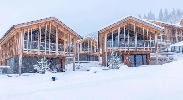 Luxury Chalet With Pool and Sauna Near Ski Lift, Book Chalet Villaer i Liezen, Villa