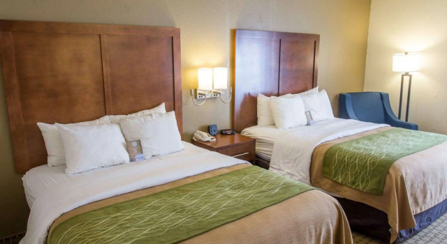 Четырёхместный номер Standard Comfort Inn Hammond