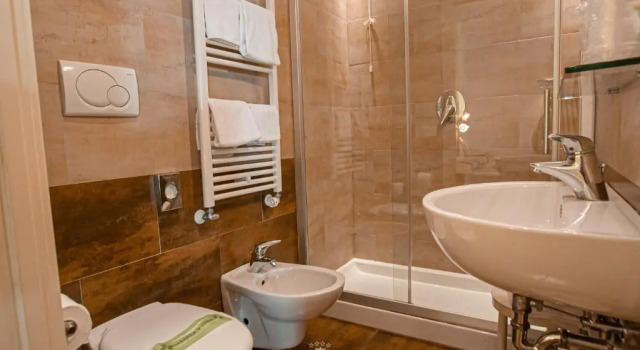 Двухместный номер Deluxe Viktoria Palace Hotel