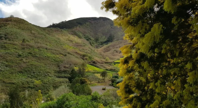 Коттедж Cuevas De Barreto