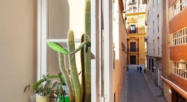 INMálaga Fresca 2