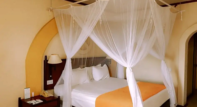 Номер Standard Elephant Hills Resort
