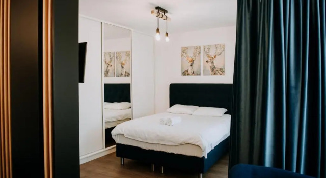 Полулюкс ZEN Central Apartments