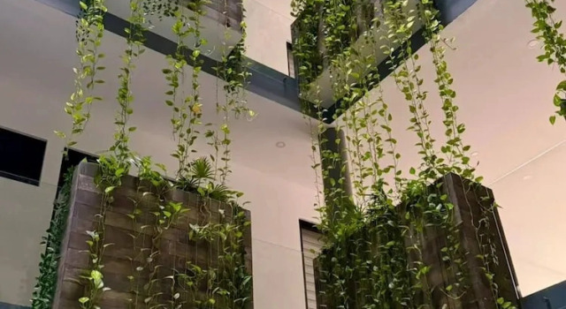 Beautiful 05 Apartment in the Hearth of Playa del Carmen, Book Lejlighed Playa del Carmen Quintana Roo