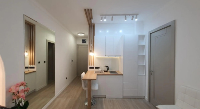 Luminous Apartment with Balcony near Budva Riviera