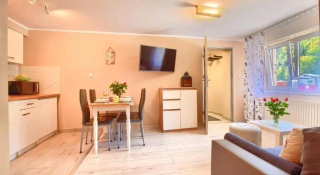 Студия Apartamenty Perła Szczyrku