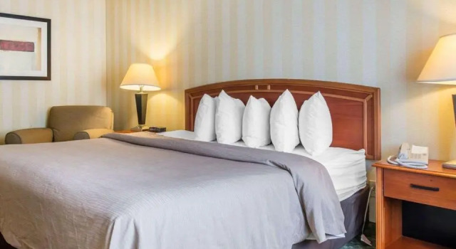 Номер Standard Quality Inn Colorado Springs Airport