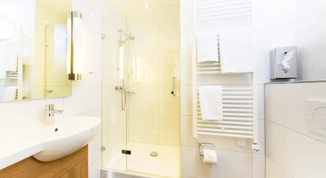 Одноместный люкс Ochsen Hotel & Restaurant Binzen / Basel