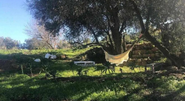 Biovilla Sustentabilidade, Rezervovat Hotel Hotely v Lisabon s bazénem, Bazén