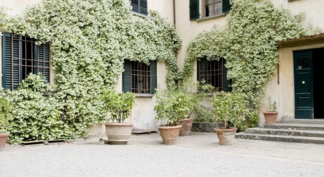 Fattoria di Bacchereto - Guest House, Reserva ahora Hostal o pensión Hoteles en Carmignano con piscina, Piscina