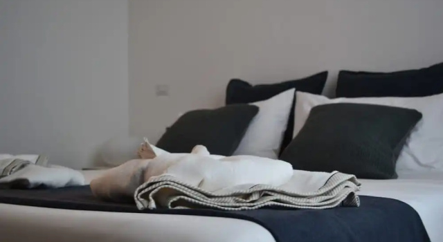 Номер Luxury Cinque Cento Suite Prati Delle Vittorie