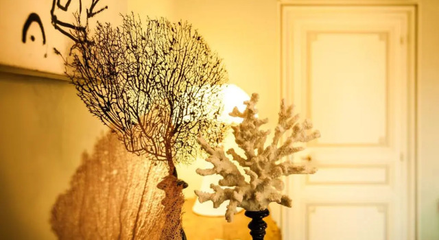 Suite junior Hôtel Domaine de Biar