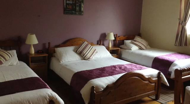 Семейный номер Standard с видом на сад Deerpark Manor Bed and Breakfast