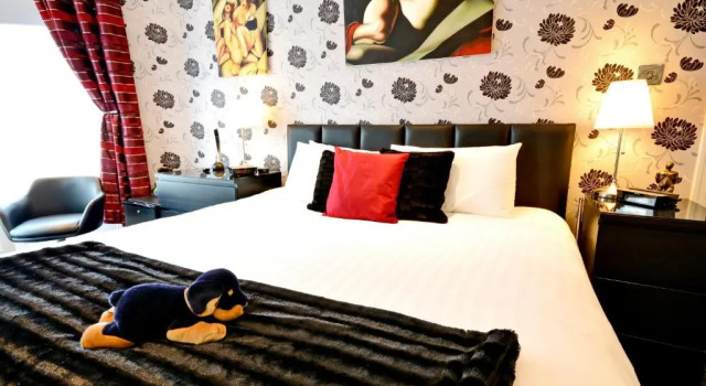 Номер Superior ParkRoyal Blackpool