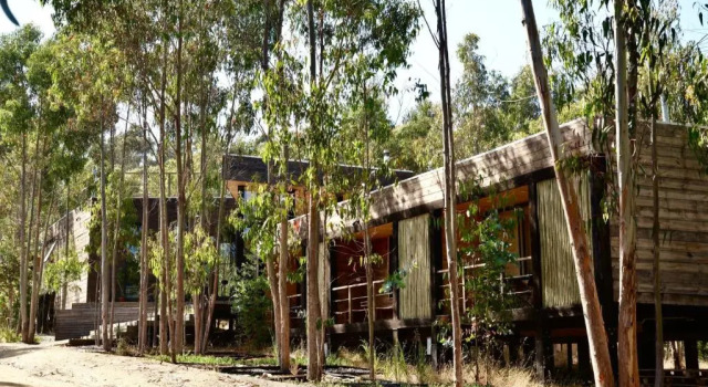 Tripanko Lodge & Bungalows, Rezervasyon Otel Pichilemu O'Higgins