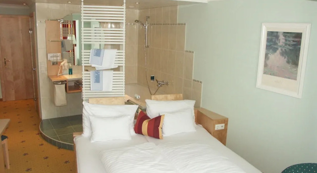 Номер Deluxe Hotel Alpina Resort nature & wellness