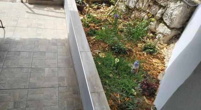 Апартаменты c 1 комнатой Apartment Tin Lapad