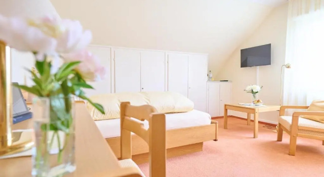 Одноместный номер Standard Hotel Morgensonne
