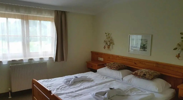 Двухместный номер Standard Hotel Tauplitzerhof