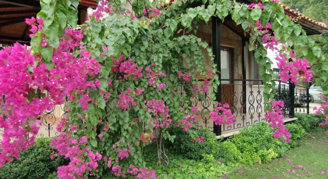 Номер Standard с балконом Sedir Resort - Hotel Rooms, Bungalows & Suites