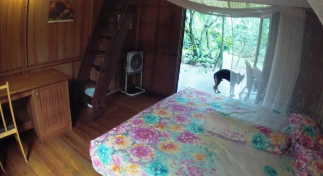 Номер Comfort Bukit Raya Guesthouse