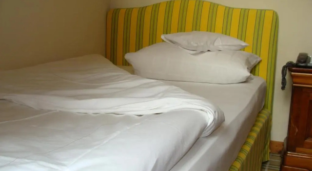 Одноместный номер Standard Hotel Freihof