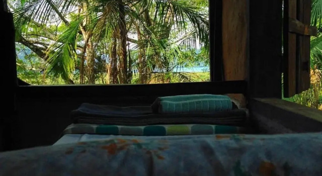 Кровать в общем номере (женский номер) ReMo Treehouse Hostel
