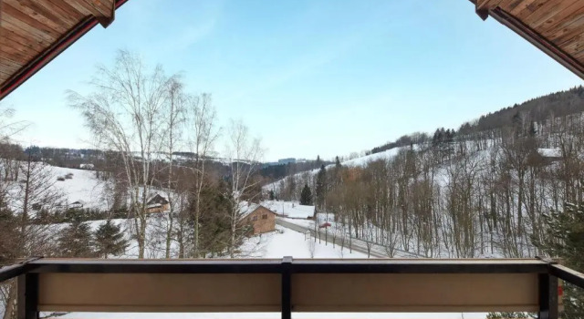 Семейный люкс ProFamily Hotel TOP Benecko