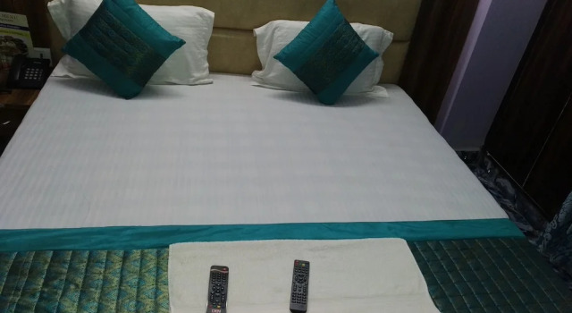 Номер Executive Hotel Jhanvi Palace