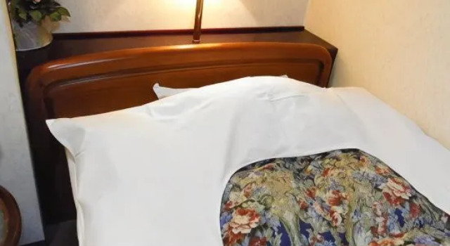 Одноместный номер Standard Green Hill Hotel Tennoji Ekimae